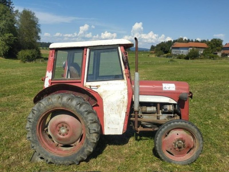 Oldtimer-Traktor typu Massey Ferguson MF --TEF, Gebrauchtmaschine w NATTERNBACH (Zdjęcie 3)