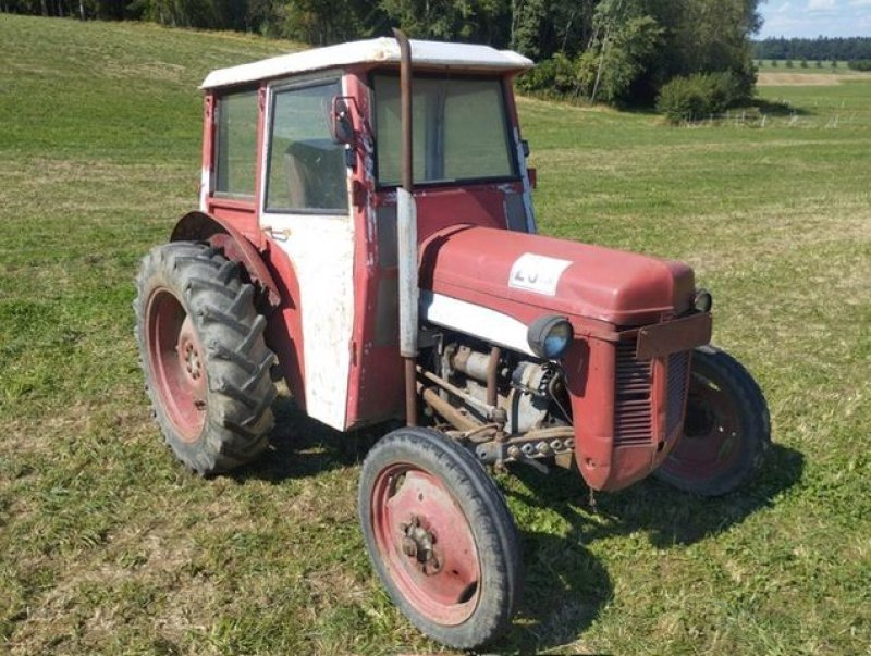 Oldtimer-Traktor a típus Massey Ferguson MF --TEF, Gebrauchtmaschine ekkor: NATTERNBACH (Kép 5)