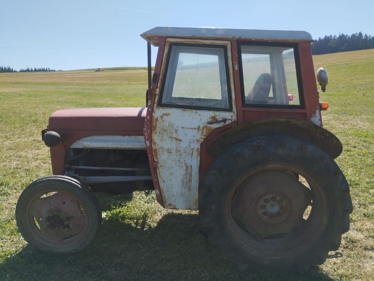 Oldtimer-Traktor typu Massey Ferguson MF --TEF, Gebrauchtmaschine w NATTERNBACH (Zdjęcie 4)