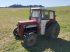 Oldtimer-Traktor typu Massey Ferguson MF --TEF, Gebrauchtmaschine v NATTERNBACH (Obrázek 1)