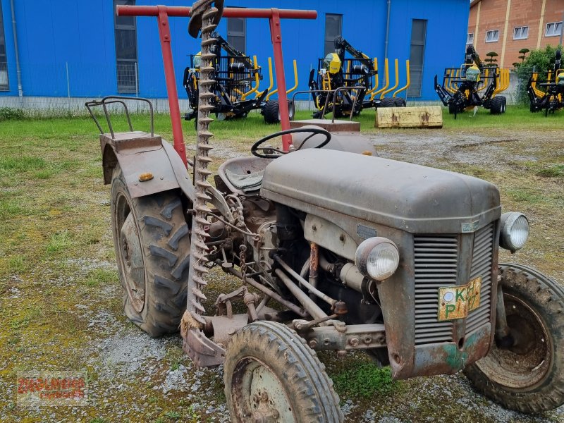 Oldtimer-Traktor tipa Massey Ferguson TE-D 225, Gebrauchtmaschine u Rottenburg a.d. Laaber