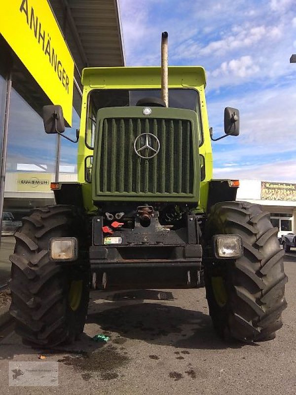 Oldtimer-Traktor of the type Mercedes-Benz MB-Trac 700 OM 364 Schlepper Traktor Oldtimer, Gebrauchtmaschine in Gevelsberg (Picture 2)