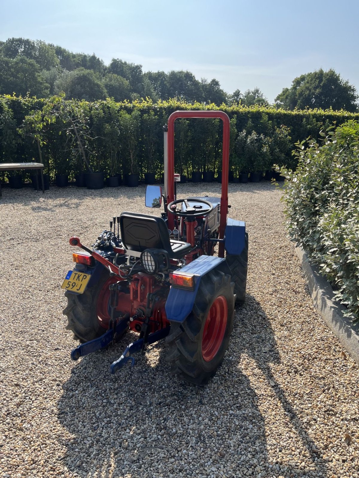 Oldtimer-Traktor van het type Pasquali 988, Gebrauchtmaschine in LEERSUM (Foto 4)