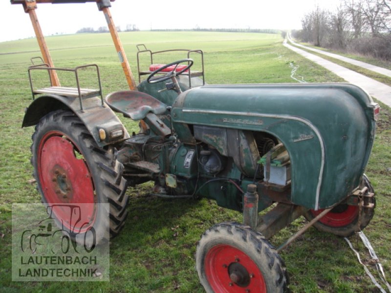 Oldtimer-Traktor typu Porsche Allgaier AP 16, Gebrauchtmaschine v Rollshausen (Obrázek 1)