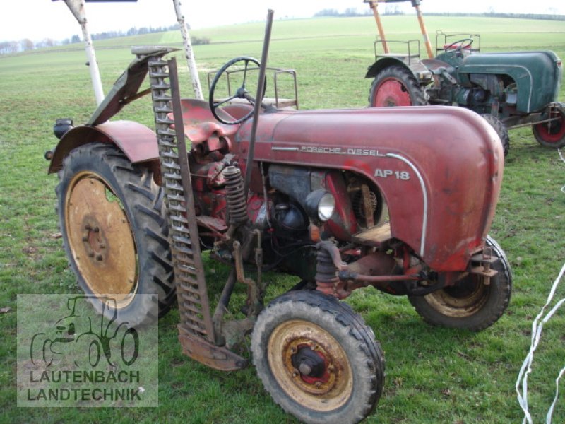 Oldtimer-Traktor des Typs Porsche AP 22, Gebrauchtmaschine in Rollshausen (Bild 1)