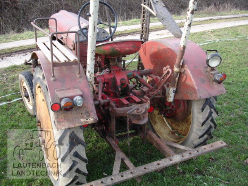 Oldtimer-Traktor of the type Porsche AP 22, Gebrauchtmaschine in Rollshausen (Picture 5)