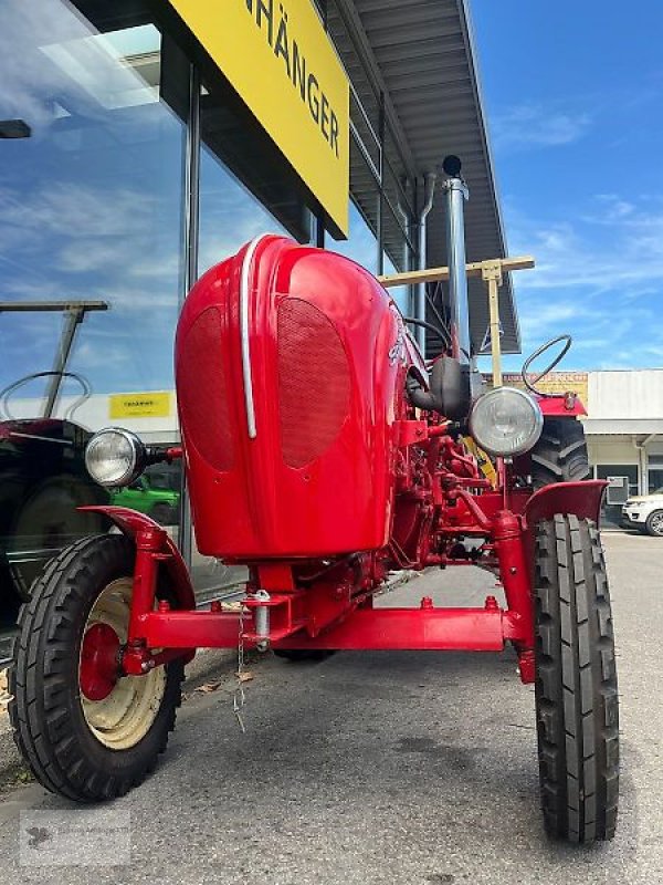 Oldtimer-Traktor του τύπου Porsche Diesel Standard T 217 Schlepper Oldtimer 2. Hand, Gebrauchtmaschine σε Gevelsberg (Φωτογραφία 1)