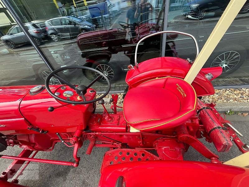 Oldtimer-Traktor typu Porsche Diesel Standard T 217 Schlepper Oldtimer 2. Hand, Gebrauchtmaschine v Gevelsberg (Obrázok 9)