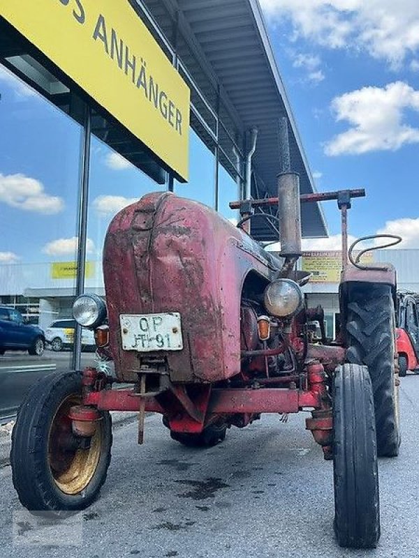 Oldtimer-Traktor of the type Porsche Diesel Super 218 Schlepper Oldtimer, Gebrauchtmaschine in Gevelsberg (Picture 1)