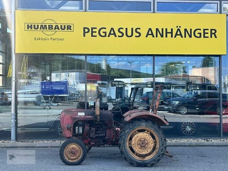 Oldtimer-Traktor del tipo Porsche Diesel Super 218 Schlepper Oldtimer, Gebrauchtmaschine en Gevelsberg (Imagen 3)