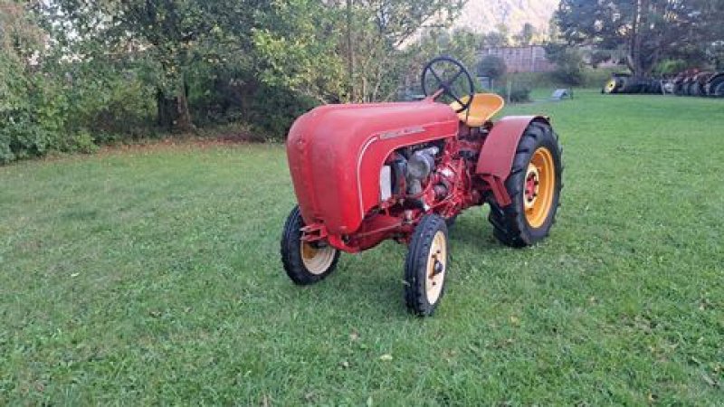 Oldtimer-Traktor of the type Porsche Porsche AP 22/S, Gebrauchtmaschine in Stainach (Picture 3)