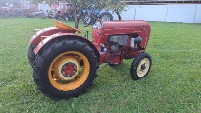 Oldtimer-Traktor of the type Porsche Porsche AP 22/S, Gebrauchtmaschine in Stainach (Picture 1)