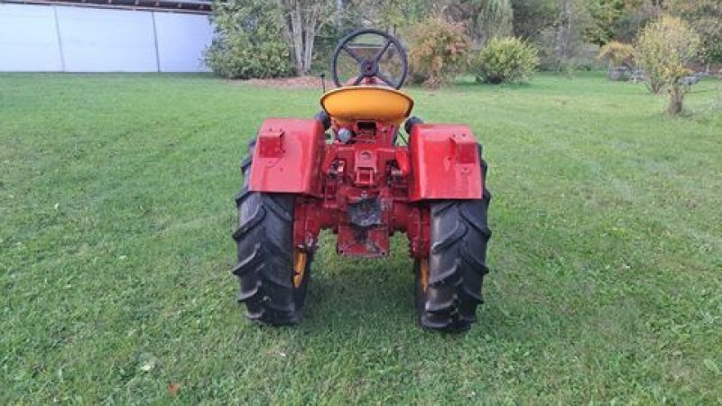 Oldtimer-Traktor typu Porsche Porsche AP 22/S, Gebrauchtmaschine v Stainach (Obrázek 4)