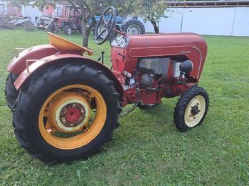 Oldtimer-Traktor of the type Porsche Porsche Typ AP 22/S, Gebrauchtmaschine in Stainach (Picture 1)