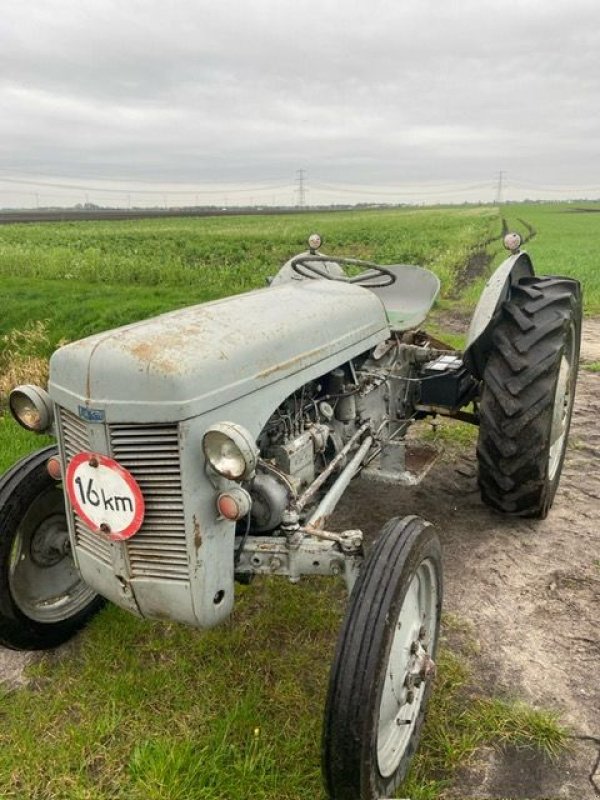 Oldtimer-Traktor типа Sonstige Ferguson Tef, Gebrauchtmaschine в Alteveer (Фотография 1)