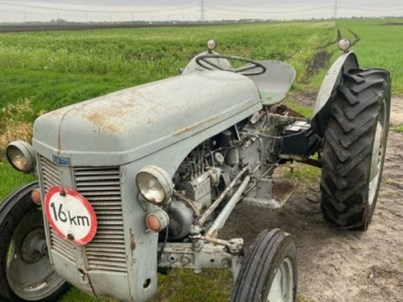 Oldtimer-Traktor tipa Sonstige Ferguson Tef, Gebrauchtmaschine u Alteveer