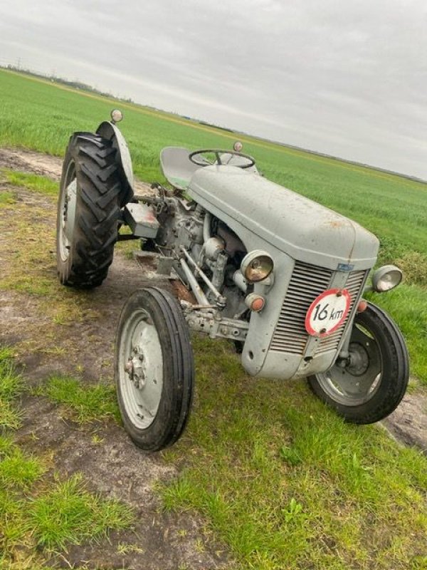 Oldtimer-Traktor типа Sonstige Ferguson Tef, Gebrauchtmaschine в Alteveer (Фотография 2)