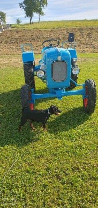 Oldtimer-Traktor des Typs Sonstige WT 25, Gebrauchtmaschine in Grafenstein (Bild 3)