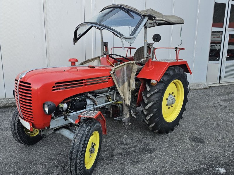 Oldtimer-Traktor des Typs Steyr 190, Gebrauchtmaschine in Ried im Oberinntal