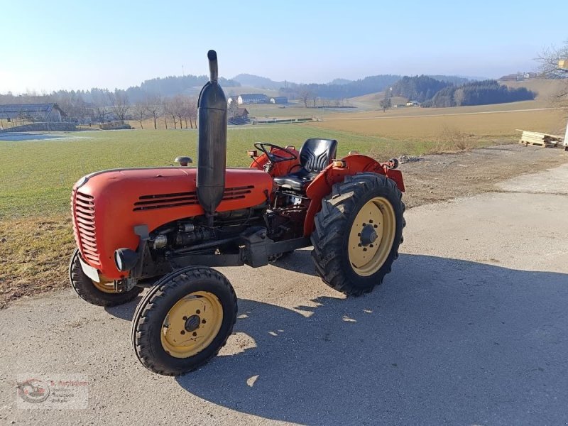 Oldtimer-Traktor del tipo Steyr 36, Gebrauchtmaschine en Dimbach