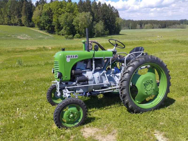 Oldtimer-Traktor типа Steyr 80, Gebrauchtmaschine в NATTERNBACH (Фотография 1)