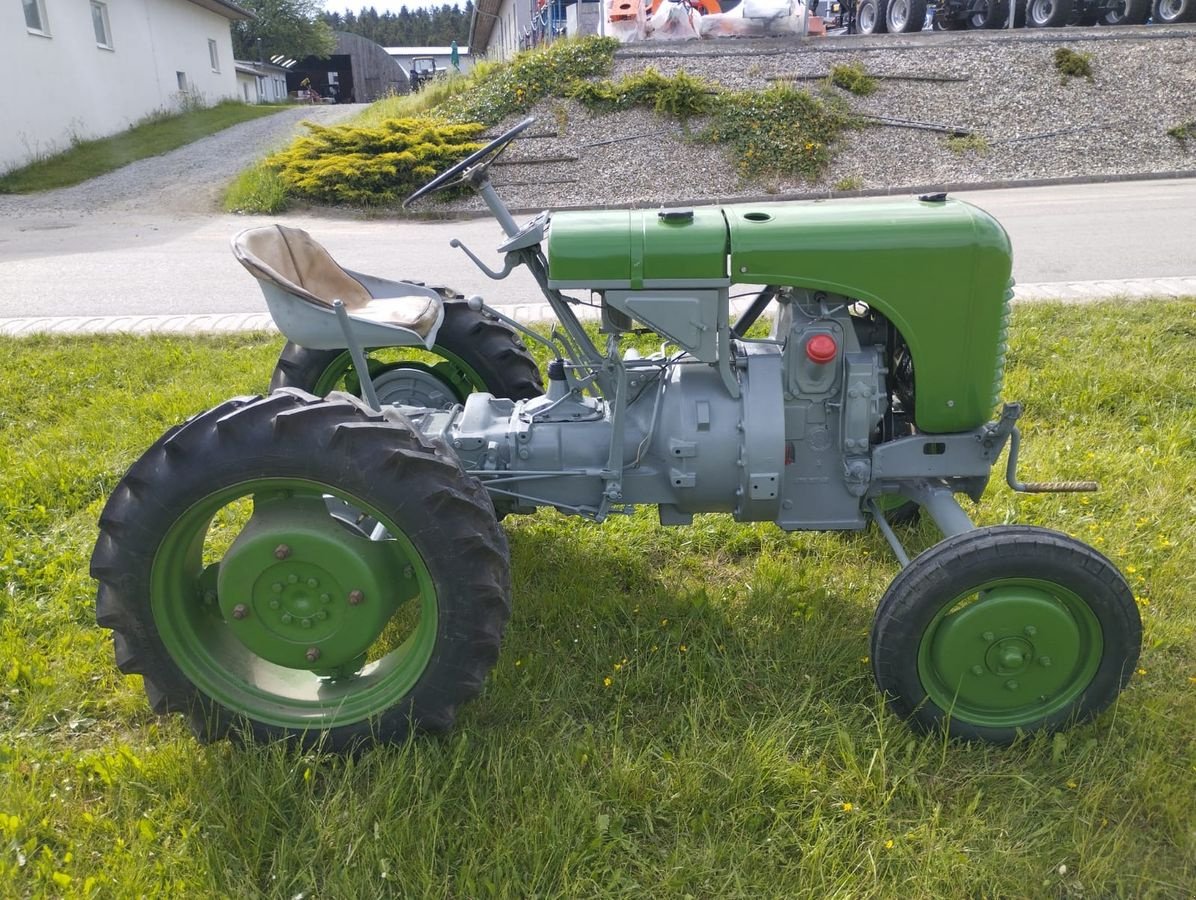 Oldtimer-Traktor del tipo Steyr 80, Gebrauchtmaschine en NATTERNBACH (Imagen 2)