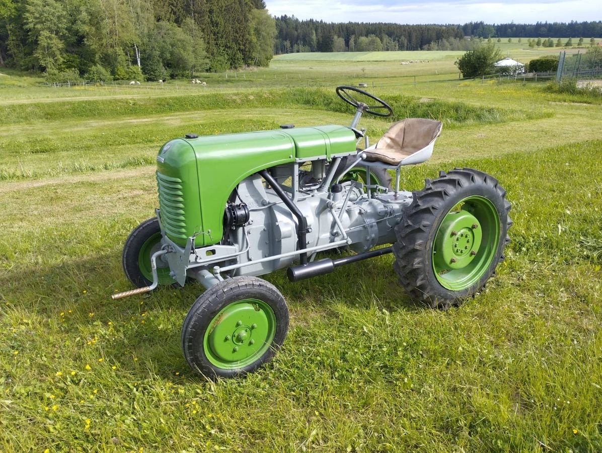 Oldtimer-Traktor des Typs Steyr 80, Gebrauchtmaschine in NATTERNBACH (Bild 1)