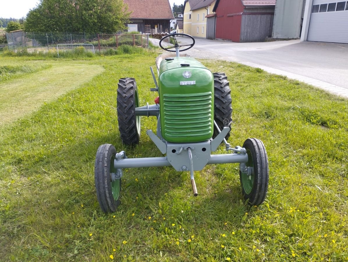 Oldtimer-Traktor a típus Steyr 80, Gebrauchtmaschine ekkor: NATTERNBACH (Kép 8)