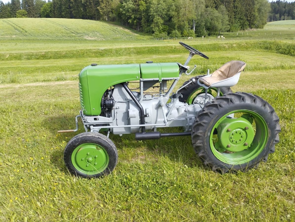 Oldtimer-Traktor des Typs Steyr 80, Gebrauchtmaschine in NATTERNBACH (Bild 7)