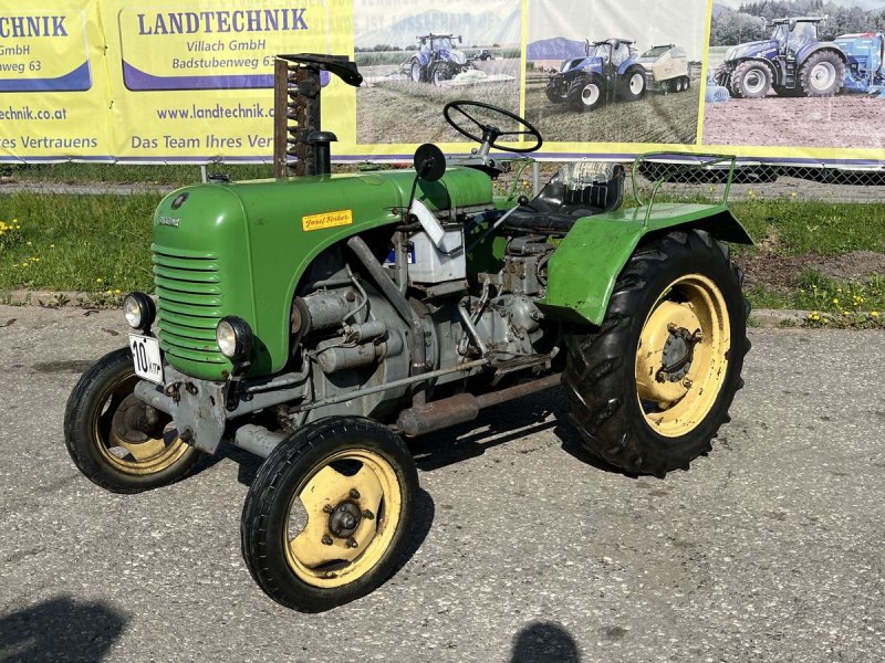 Oldtimer-Traktor del tipo Steyr 80, Gebrauchtmaschine en Villach (Imagen 1)