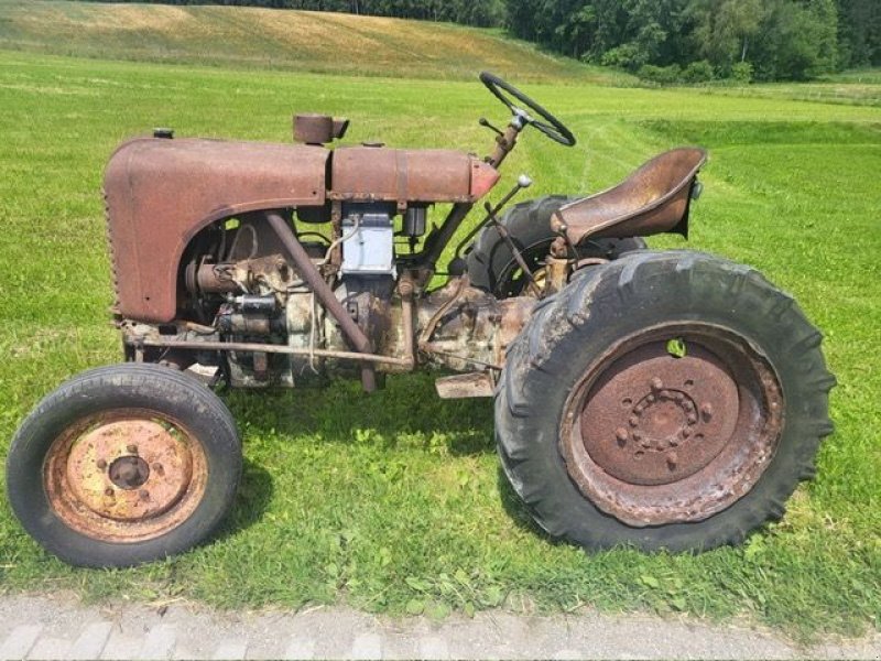 Oldtimer-Traktor del tipo Steyr 84, Gebrauchtmaschine en NATTERNBACH (Imagen 1)