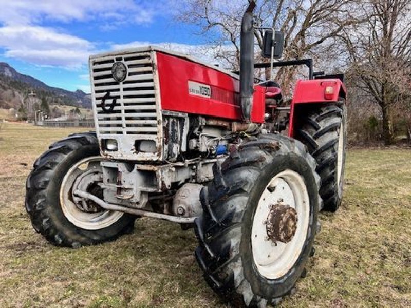 Oldtimer-Traktor del tipo Steyr Steyr 1090 a, Gebrauchtmaschine en Stainach (Imagen 1)