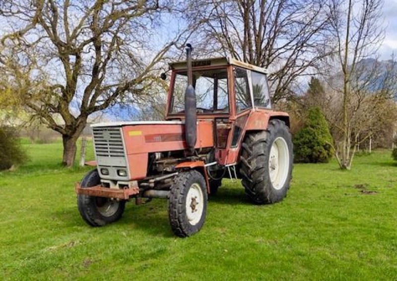 Oldtimer-Traktor of the type Steyr Steyr 1100, Gebrauchtmaschine in Stainach (Picture 1)