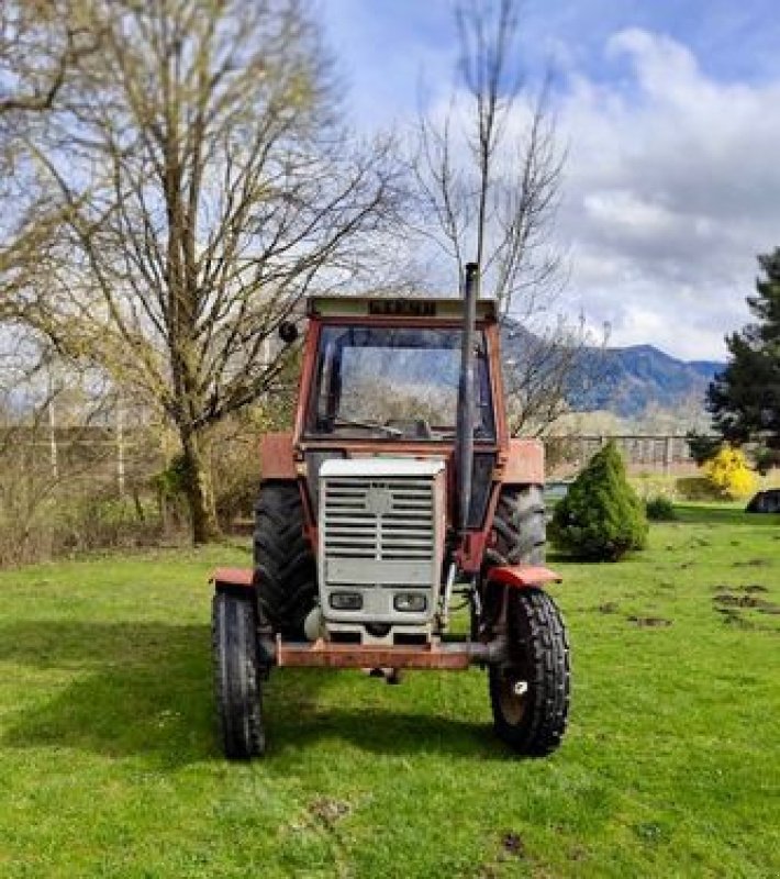 Oldtimer-Traktor typu Steyr Steyr 1100, Gebrauchtmaschine w Stainach (Zdjęcie 5)