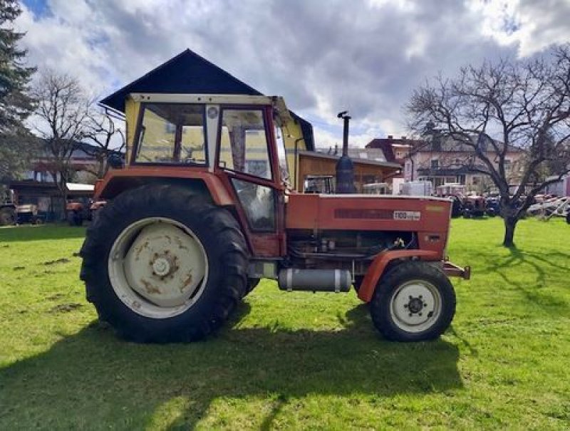 Oldtimer-Traktor of the type Steyr Steyr 1100, Gebrauchtmaschine in Stainach (Picture 3)