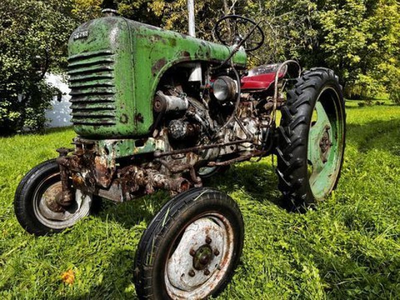 Oldtimer-Traktor типа Steyr Steyr 80, Gebrauchtmaschine в Stainach (Фотография 2)