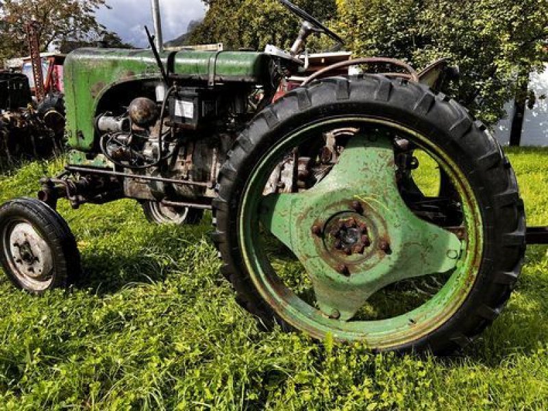 Oldtimer-Traktor του τύπου Steyr Steyr 80, Gebrauchtmaschine σε Stainach (Φωτογραφία 3)