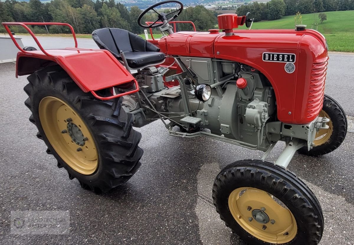 Oldtimer-Traktor Türe ait Steyr T 84, Gebrauchtmaschine içinde Arnreit (resim 2)