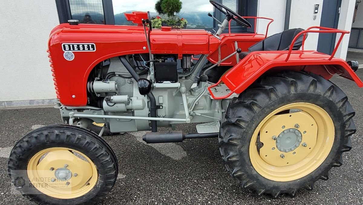 Oldtimer-Traktor Türe ait Steyr T 84, Gebrauchtmaschine içinde Arnreit (resim 1)