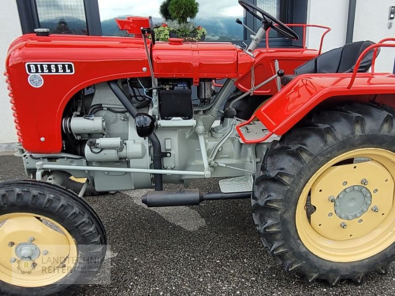 Oldtimer-Traktor типа Steyr T 84, Gebrauchtmaschine в Arnreit