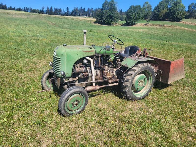 Oldtimer-Traktor Türe ait Steyr T80, Gebrauchtmaschine içinde Kollerschlag