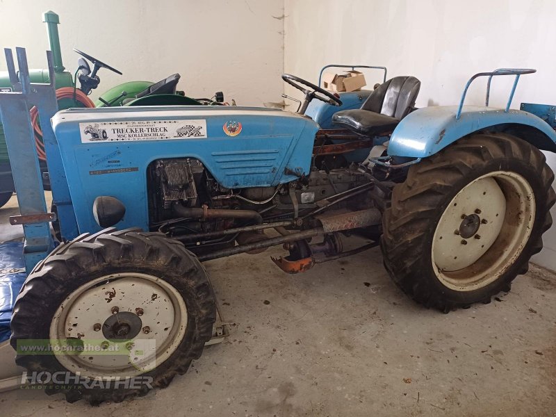 Oldtimer-Traktor van het type Warchalowski WT 30 A Allrad, Gebrauchtmaschine in Kronstorf (Foto 1)