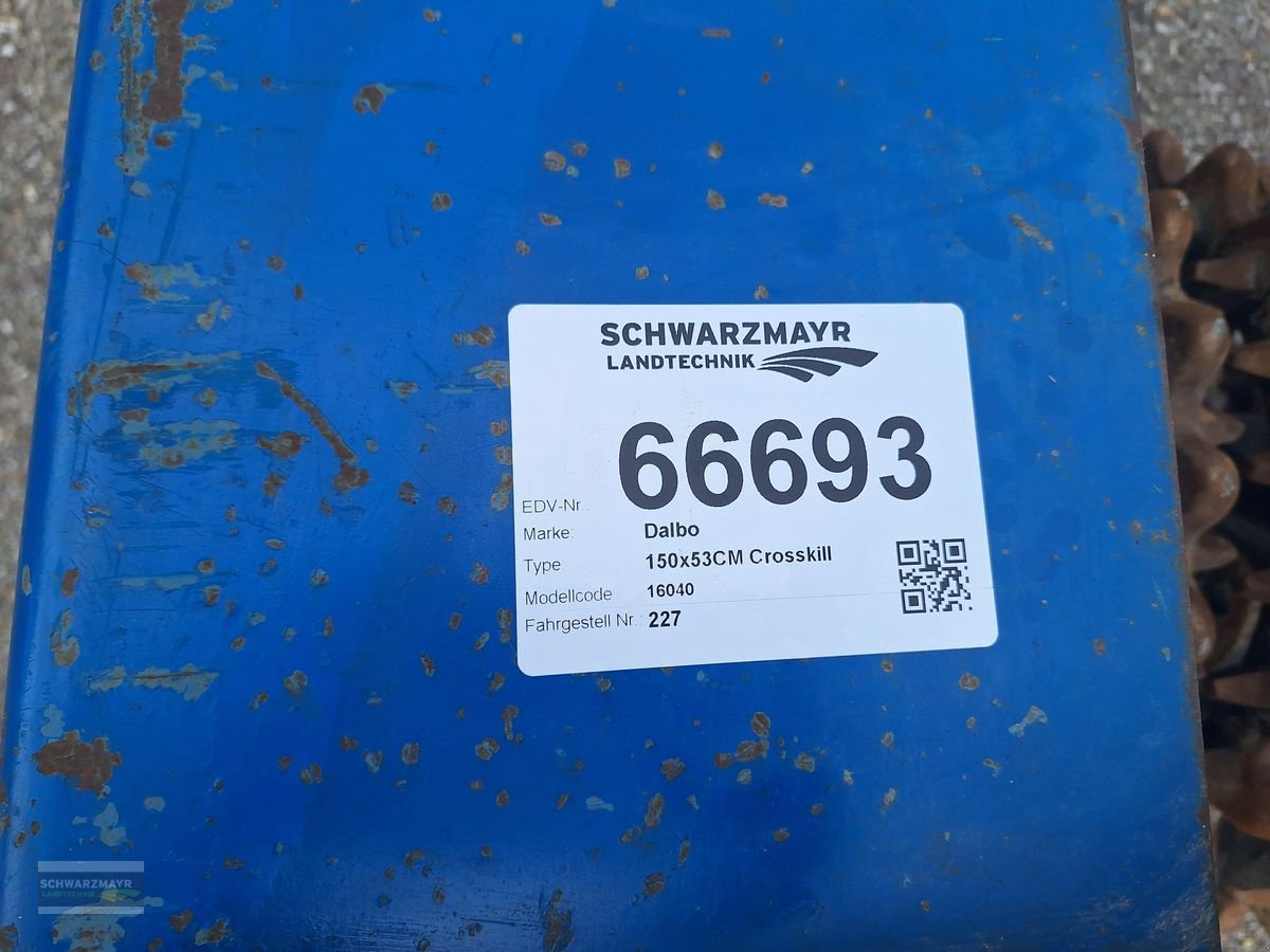 Packer & Walze du type Dal Cero 66693, Gebrauchtmaschine en Gampern (Photo 12)