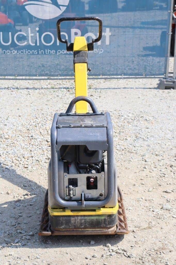 Packer & Walze tipa Neuson 1D42S, Gebrauchtmaschine u Antwerpen (Slika 9)