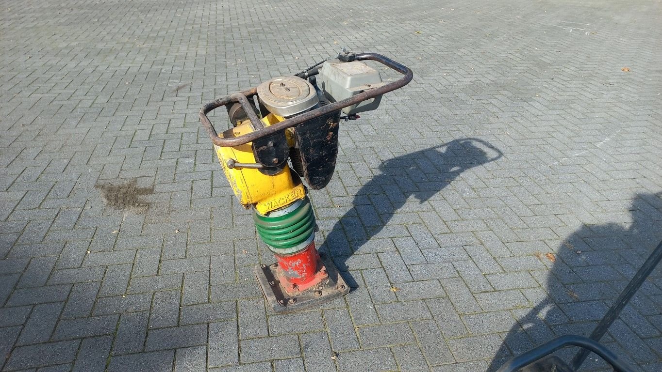 Packer & Walze van het type Sonstige Bomag Wacker trilplaat stamper, Gebrauchtmaschine in Garderen (Foto 4)