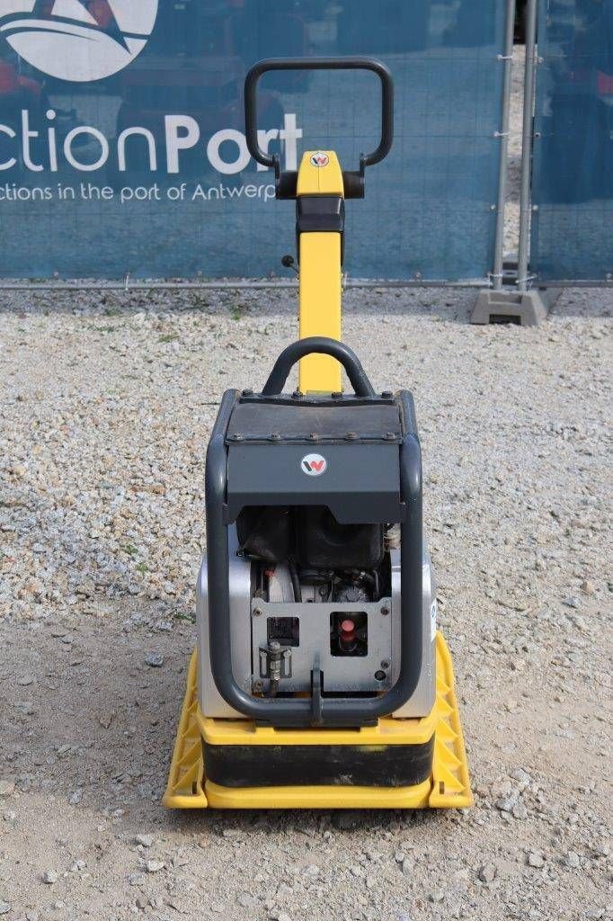 Packer & Walze tipa Sonstige Neuson DPU5545, Gebrauchtmaschine u Antwerpen (Slika 9)