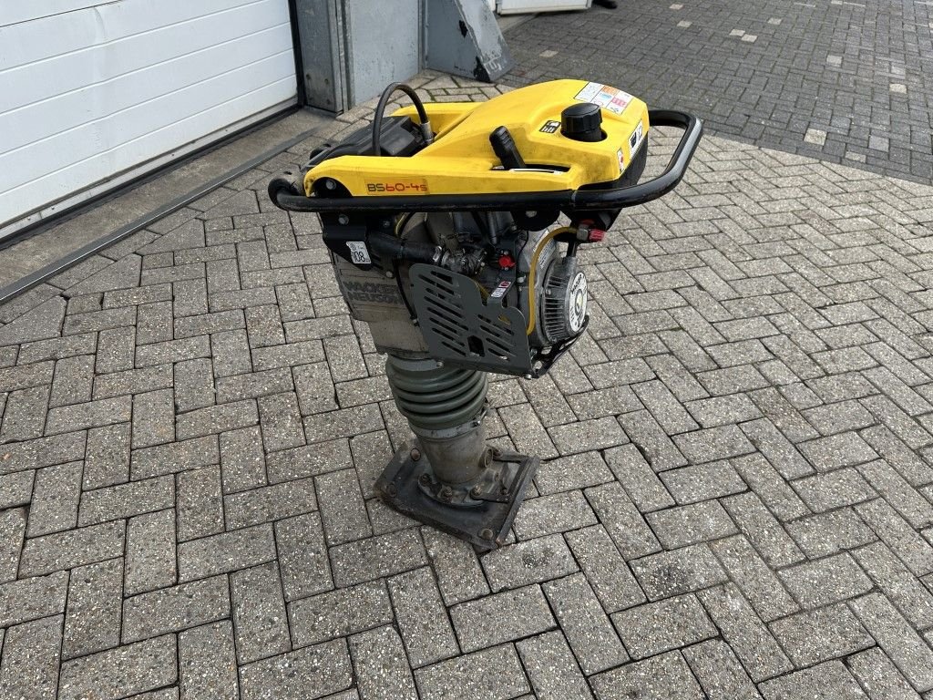 Packer & Walze du type Sonstige Wacker BS60-4S BS500, Gebrauchtmaschine en Oirschot (Photo 9)