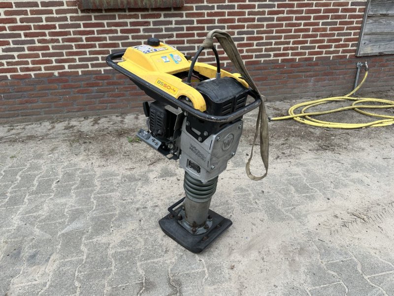 Packer & Walze del tipo Wacker Neuson BS50-4, Gebrauchtmaschine In Almen (Immagine 1)