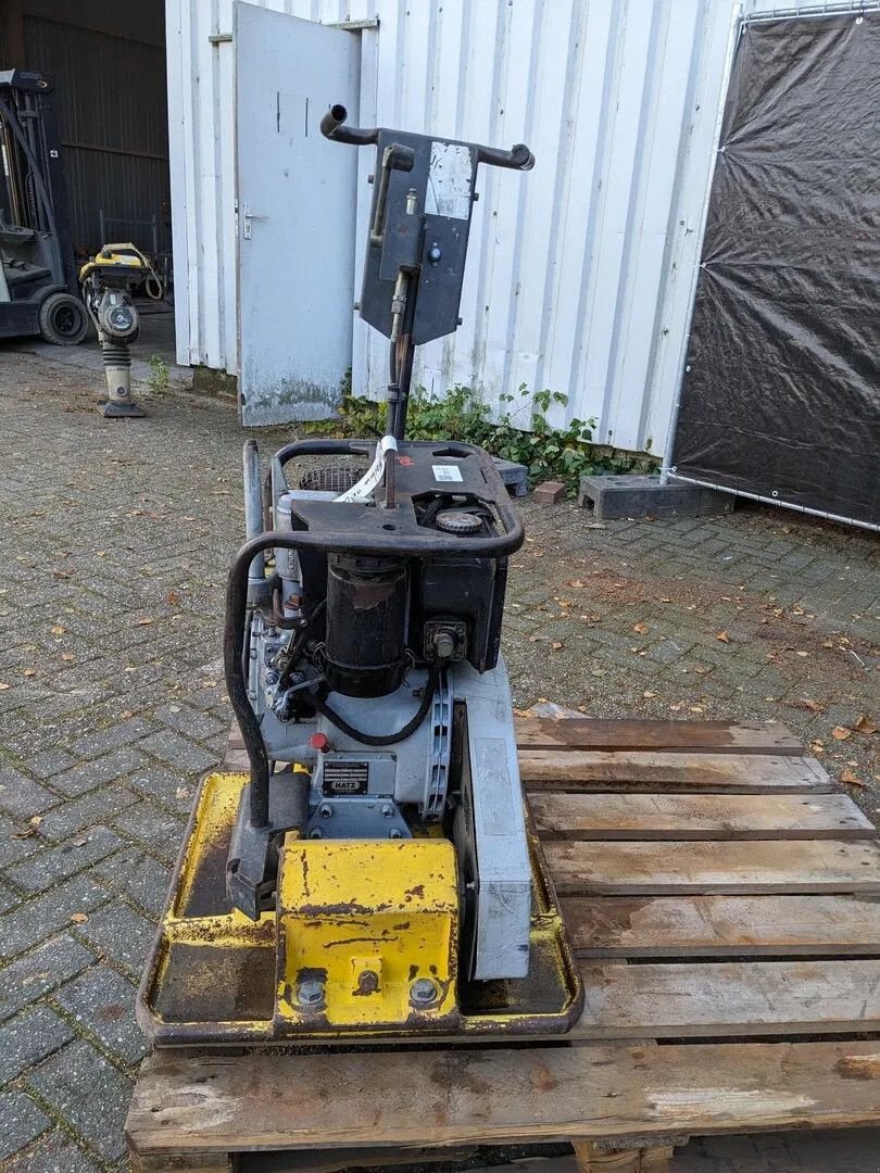 Packer & Walze des Typs Wacker Neuson Dps 3060, Gebrauchtmaschine in Groningen (Bild 3)