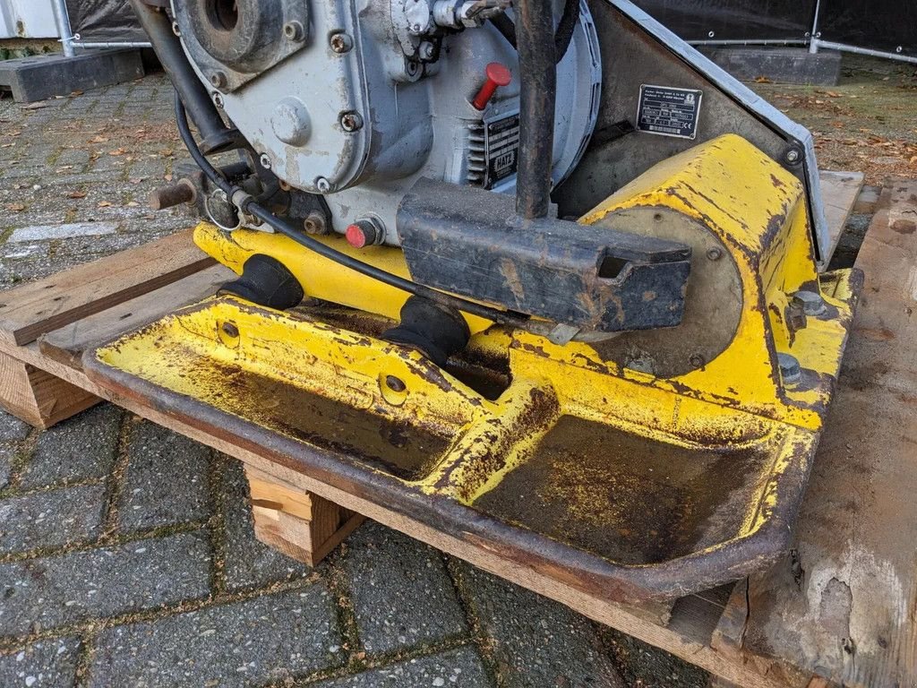 Packer & Walze za tip Wacker Neuson Dps 3060, Gebrauchtmaschine u Groningen (Slika 4)